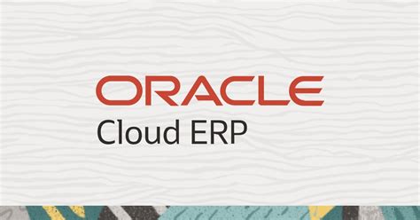 oracle iba|ERP .